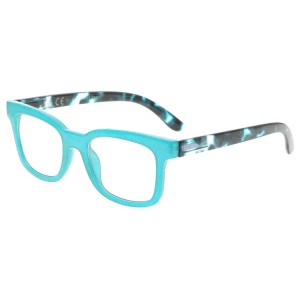 Plastic Reading Glasses